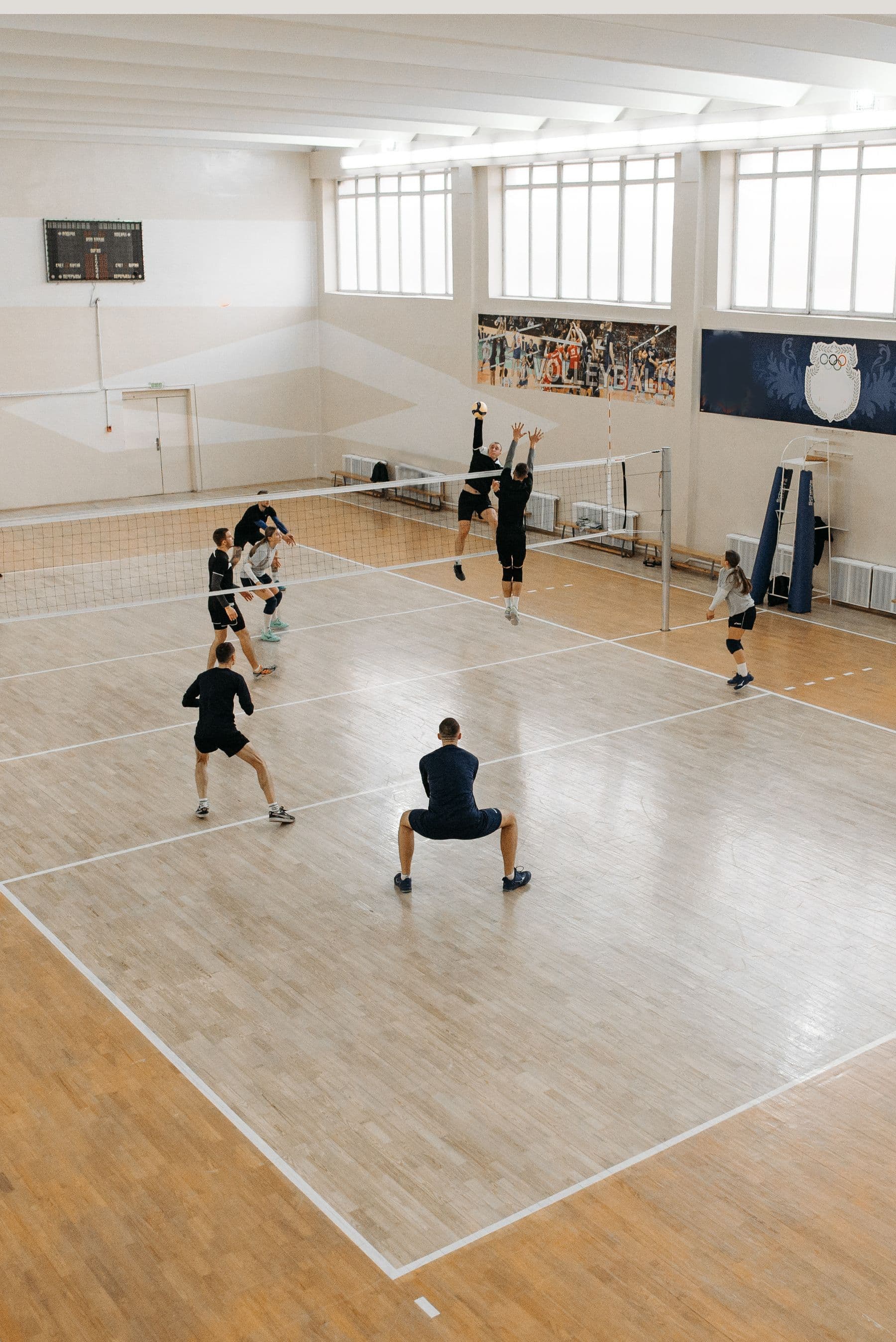 Volleyball players competing on an indoor court